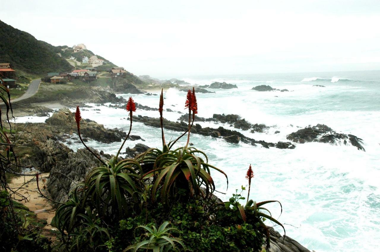 Dis Al Villa Oubosrand Luaran gambar
